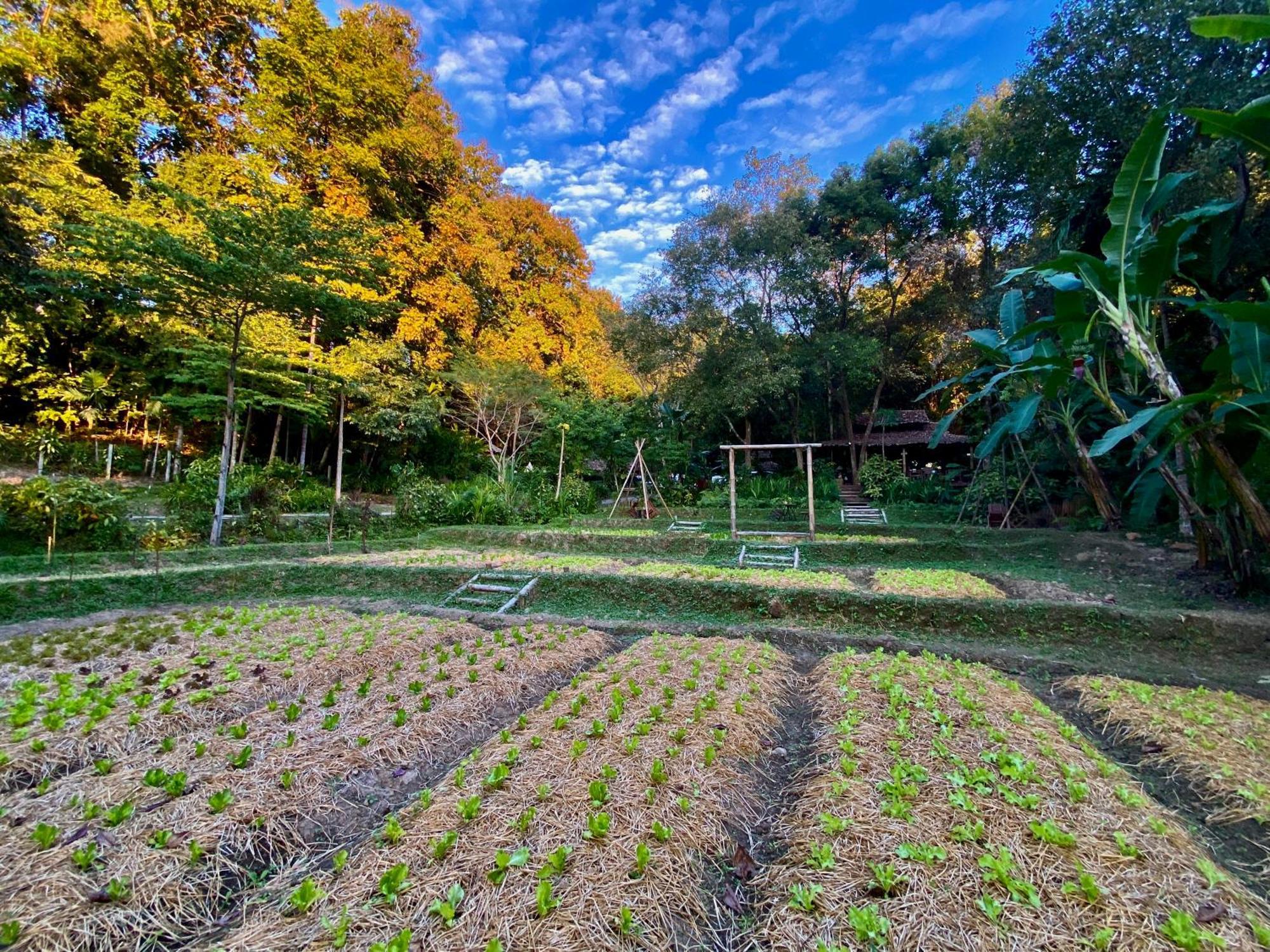 Fern Resort Mae Hong Son Exterior photo